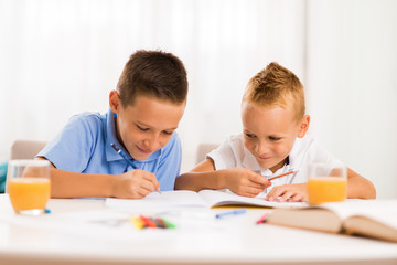 Fototapeta premium Young boys writing in notebooks at home