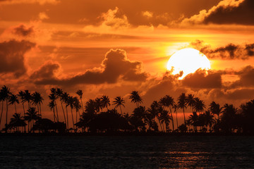 Silhouet van tropische palmbomen en de ondergaande zon tijdens een prachtige zonsondergang in het Caribisch gebied in San Juan, Puerto Rico