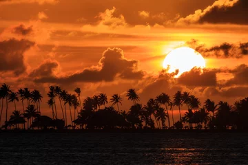 Behang Caraïben Silhouet van tropische palmbomen en de ondergaande zon tijdens een prachtige zonsondergang in het Caribisch gebied in San Juan, Puerto Rico