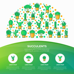 Cactus and succelents in pots concept in half circle with thin line icons. Modern vector illustration, web page template for shop of plants.