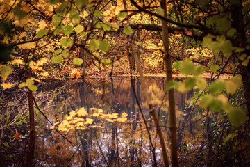 Fototapeta na wymiar Teich im Herbst