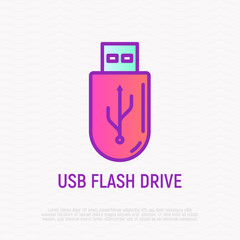USB flash drive thin line icon. Modern vector illustration.