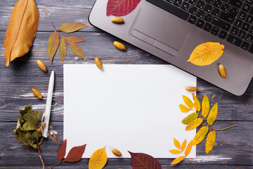 Office table with computer and autumn leaves.