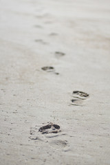 footprints in the sand