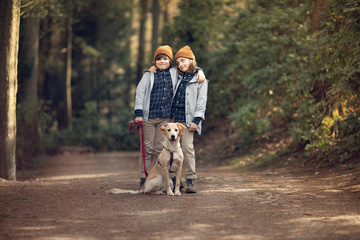 brothers hugging on the forest path with dog