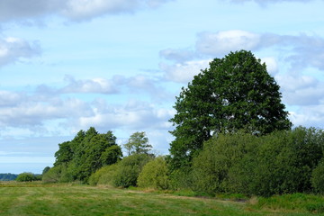 An der Hamme im Sommer in der Umgebung von Worpswede