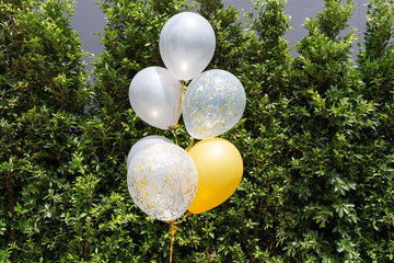 white and yellow balloons in party with tree background. - Powered by Adobe