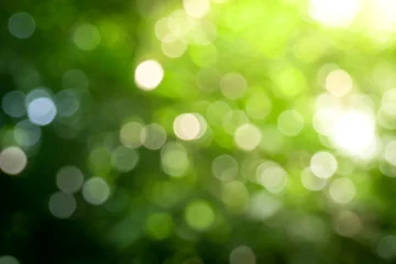 Sonniger abstrakter grüner Naturhintergrund, Blur-Park mit Bokeh-Licht, Natur, Garten, Frühlings- und Sommersaison © Nattapol_Sritongcom
