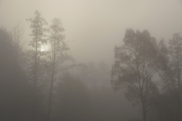 Fototapeta na wymiar jesienne listopadowe gęste mgły zakryły słońce