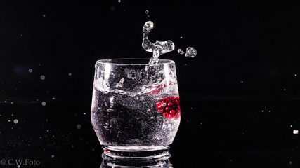 Fruit Splash