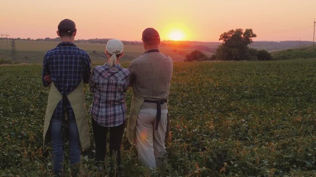 The family of farmers - husband, wife and adult son stand on the mole, admire the beautiful sunset