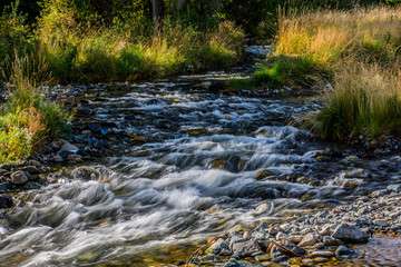 Creek near Wallowa Lake