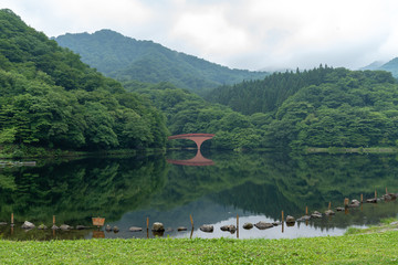 霧緑の鏡面橋