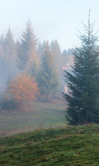 Autumn Carpathians, Ukraine.