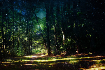 Magic forest with footpath, starry sky and light reflections