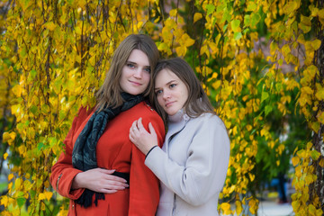 Portrait two beautiful happy girlfriends on a sunny autumn day