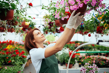 Redhead young woman working in greenhouse and enjoying in beautiful flowers. Female worker working at garden center.