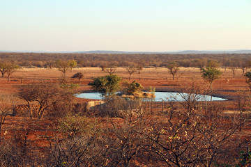 Wasserloch in der Steppe von Namibia