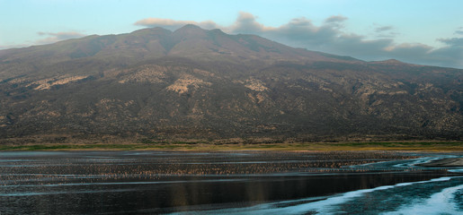 Obraz premium Flamingi w wodzie w pobliżu brzegu jeziora Natron. Kolonia flamingów. Panorama. Widok z lotu ptaka. Tanzania.