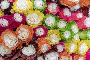 Large multi-colored roses.