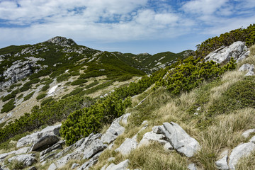 Landscape rocky mountains national park 