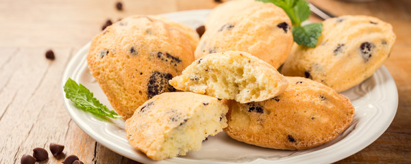 Homemade cookies Madeleine with chocolate chips. Holidays and party food concept. Banner.