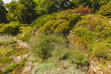 Botanischer Garten Solingen
