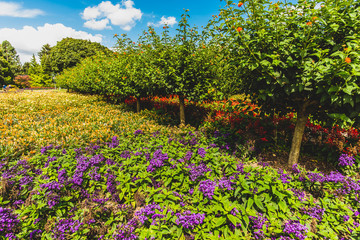 Botanischer Garten Solingen
