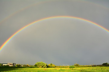 Fototapeta premium Great rainbow