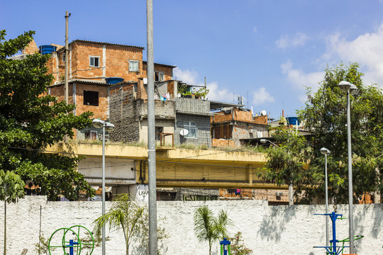 favela of Rio de Janeiro cashew