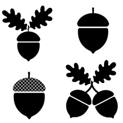 Acorn icon, silhouette, logo on white background © Рудой Максим