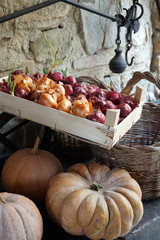 Cipolle al mercato, Toscana