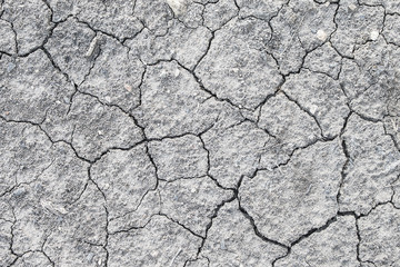 Dried and Cracked ground.