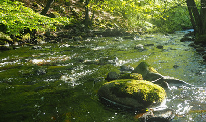 natural river creek in sweden