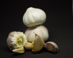 garlic head on a black background