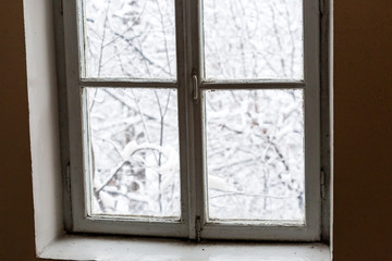 Fototapeta premium Window with winter landscape, tree branches covered with snow
