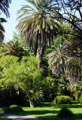 Museo Orto Botanico, Universit&agrave; di Roma La Sapienza