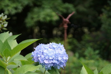 Flower with Hummingbird