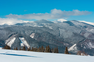 Fototapeta na wymiar Winter snowy Carpathian mountains, Ukraine