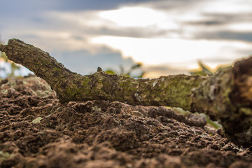 rocks in the mountains