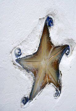 Mondello, decorazioni in ceramica a tema marino