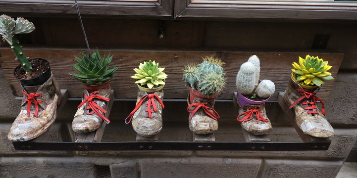 Scarpe vecchie come porta piante