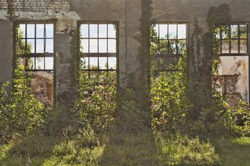 Ruins of an abandoned factory