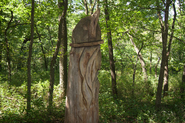 Tree Art with Face Carving