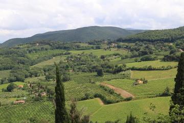 Fototapeta premium Paesaggi di Toscana
