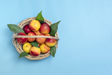 Fresh harvested nectarines in the basket lies on pink background. Vegetables vitamin Keratin Natural  PeachOrganic Top View Flat Lay Rustic Style. Country Village Agriculture concepts Empty text