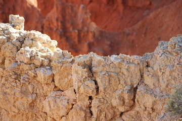 Brice Canyon USA Arizona Squirrel am Bryce Canyon