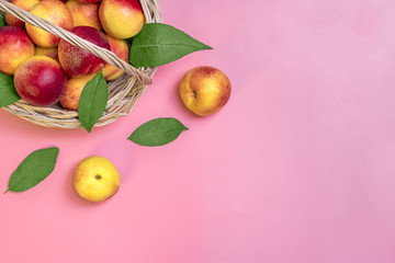 Fresh harvested nectarines in the basket lies on pink background. Vegetables vitamin Keratin Natural  PeachOrganic Top View Flat Lay Rustic Style. Country Village Agriculture concepts Empty text