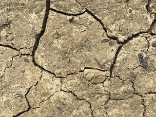 Ausgetrockneter Erdboden durch Hitze mit Risse
