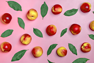 Abstract ornament -Fresh harvested nectarines lies on blue background. Vegetables vitamin Keratin Natural  Peach Organic Top View Flat Lay Rustic Style. Country Village Agriculture concepts Empty text